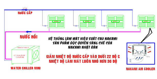 LC1-3-1
