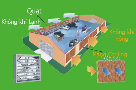 LC1-4-1